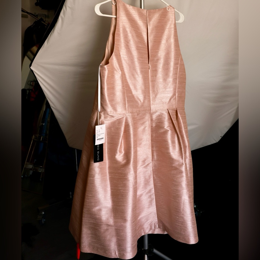 Alfred Sung Pink Sleeveless Dress - Picture 8 of 8